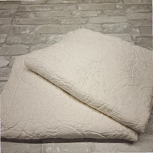 2 Pottery Barn White Matelasse Shams Standard Pillow Floral Quilted Textured