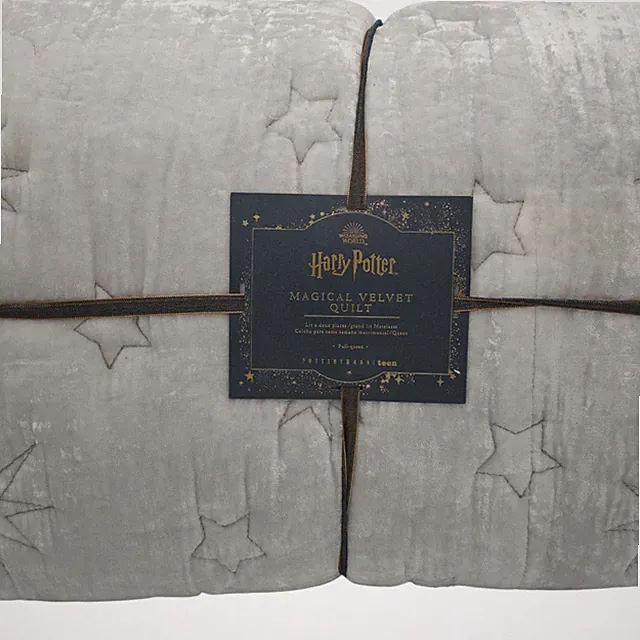 New Pottery Barn Teen Harry Potter Magical Velvet Full/Queen Quilt ~Faint Gray~