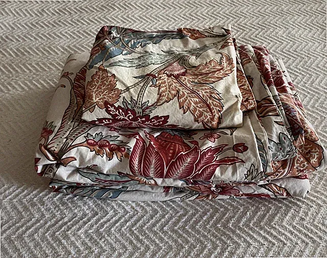One(1) Pottery Barn Palampore Deirdre King Duvet And One (1) Matching Euro Sham
