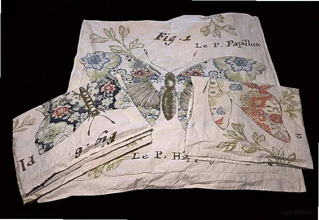 Pottery Barn Butterfly Script pillow case Set 2 Std Shams + 1 euro sham Rare