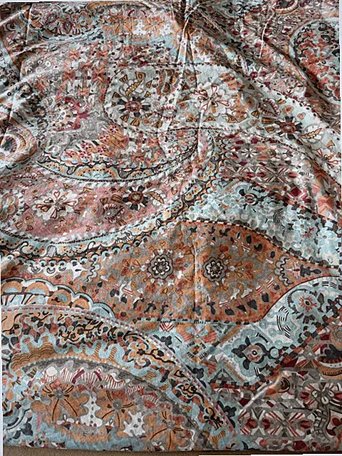 Pottery Barn F/Q Organic Cotton Paloma Paisley Duvet Cover 2 Standard Shams Bed