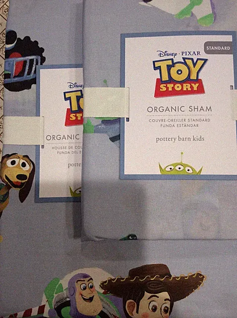 Pottery Barn Kids Disney Toy Story Twin Duvet & Stand Sham NWT! Blue