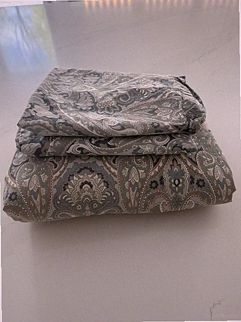 POTTERY BARN MacKenna Paisley Duvet Cover & 2 Cases Cotton Full Queen Blue Gray
