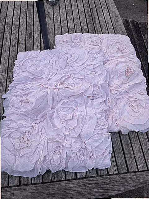 pottery barn monique lhuillier Pink Standard Pillow Cases Two Teen