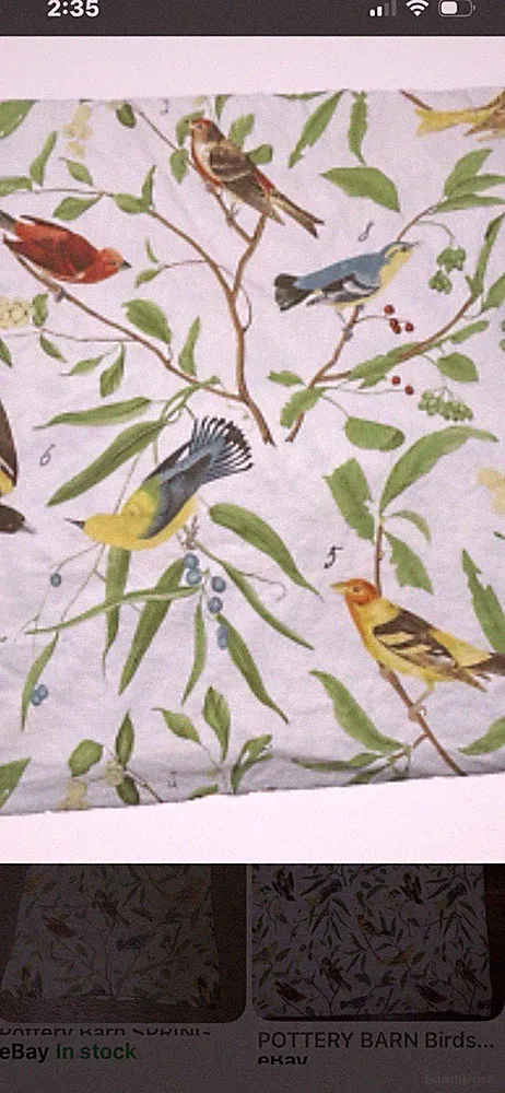 Pottery Barn Multicolor Bird Pattern Duvet Cover Floral & Nature Theme