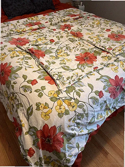 Pottery Barn Sophia FLORAL Full/Queen Duvet Set Cover 2 Std Cases