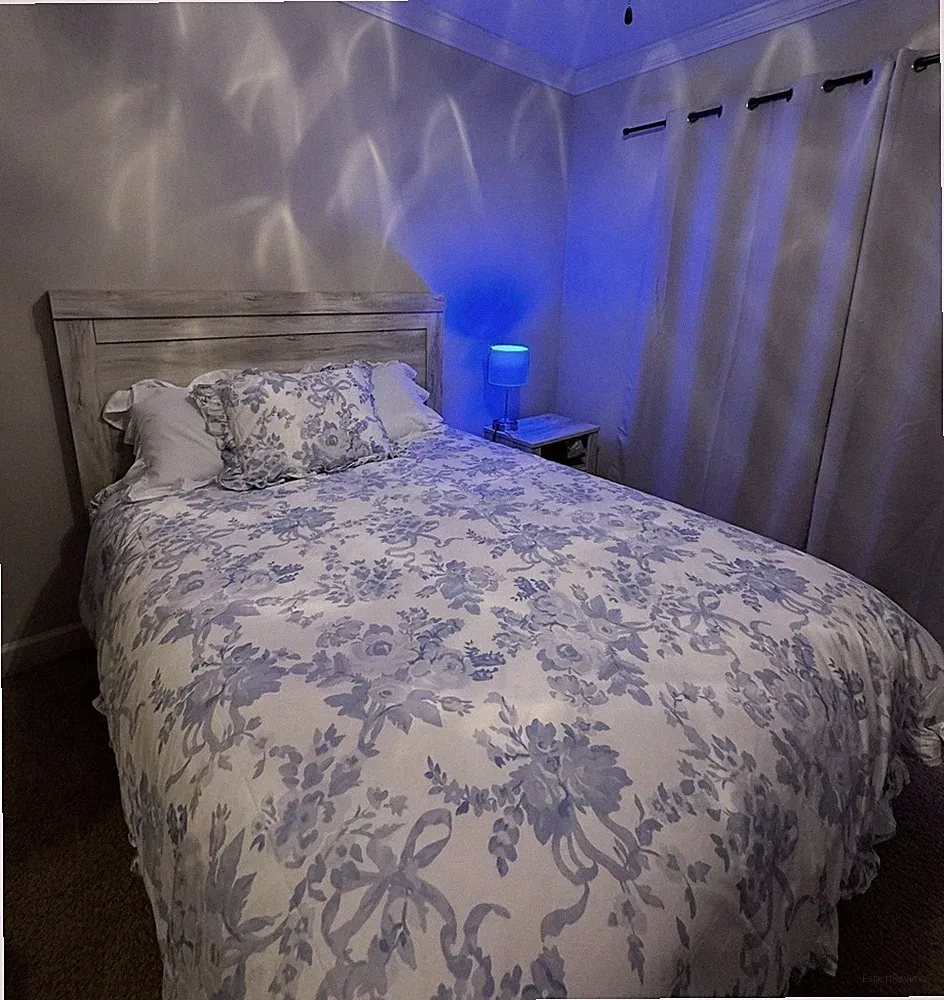 Pottery Barn Teen LoveShackFancy Ruffle Floral Duvet Cover Queen Blue