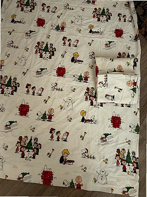 Pottery Barn Teen Peanuts Snoopy Flannel Queen Flat Sheet & 2 Pillowcases